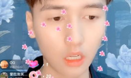 ryan91ds直播,揭秘游戏主播的幕后生活与精彩瞬间