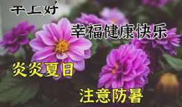 早上好视频大全,精选“早上好”视频大全